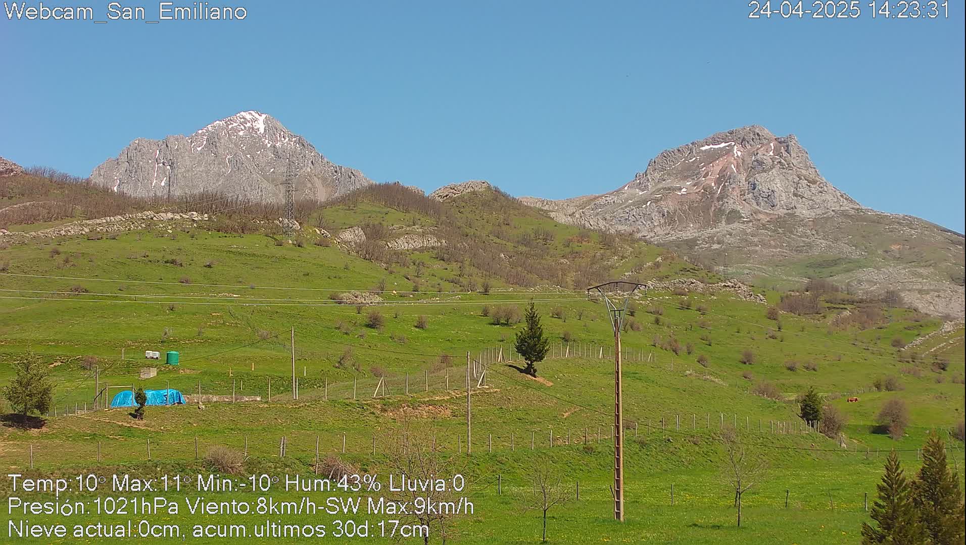 Two mountainous peaks with patches of snow are visible in the distance across a verdant hillside under a clear blue sky.