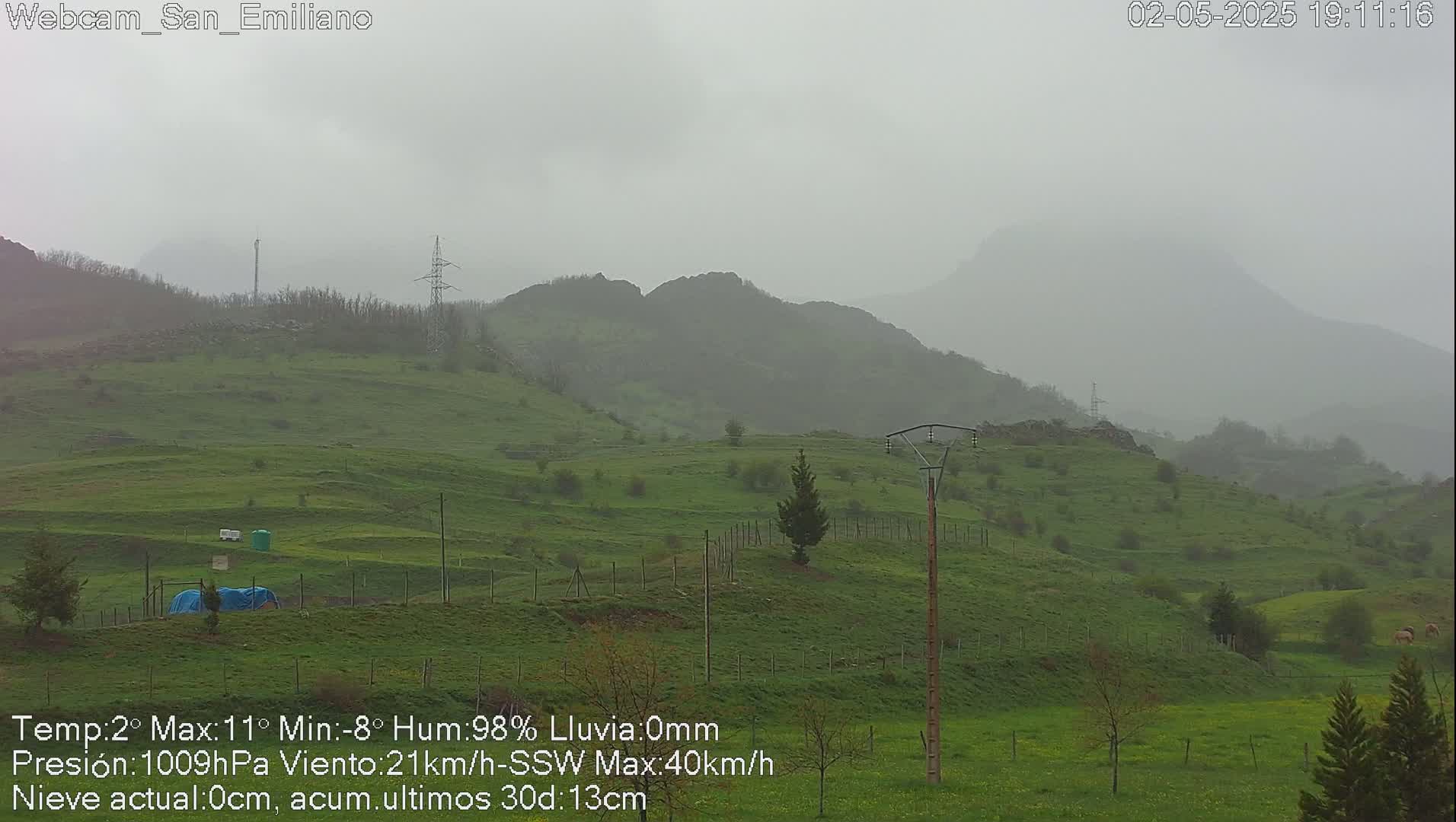 A misty, green hillside under a gray sky.