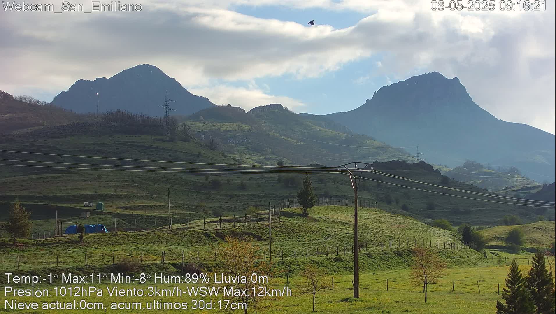 A bird flies over a verdant valley under a partly cloudy sky, with a range of mountains in the background.