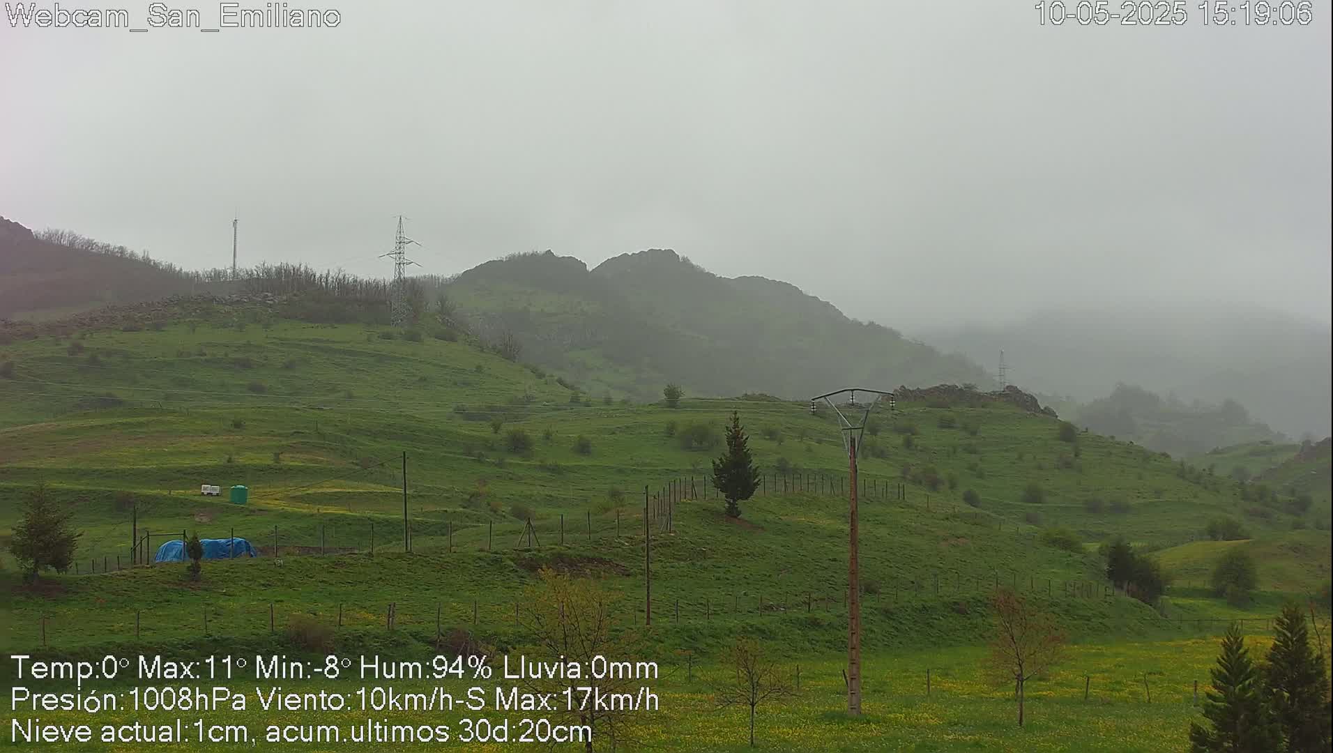 A misty, green hillside landscape with utility poles and fences under an overcast sky.