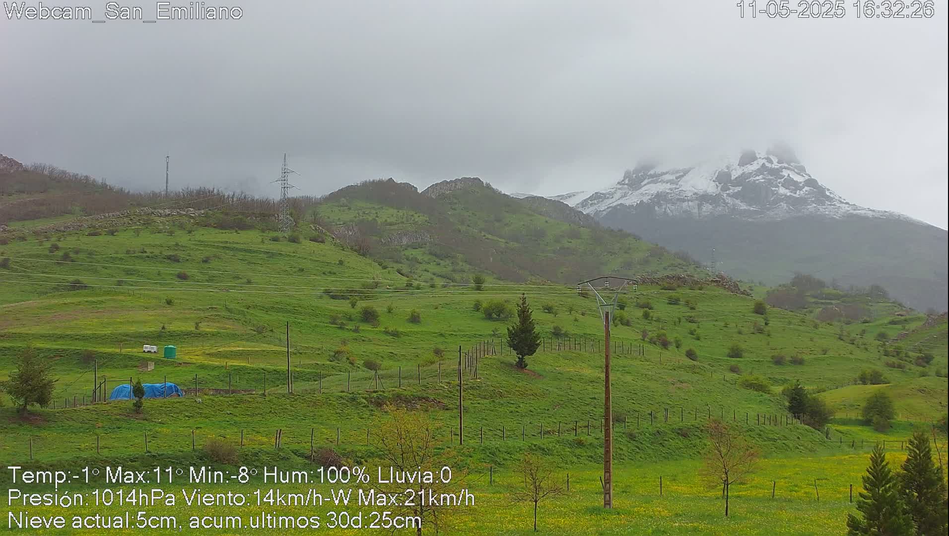 A green, hilly landscape under a cloudy, overcast sky features a snow-capped mountain in the background.