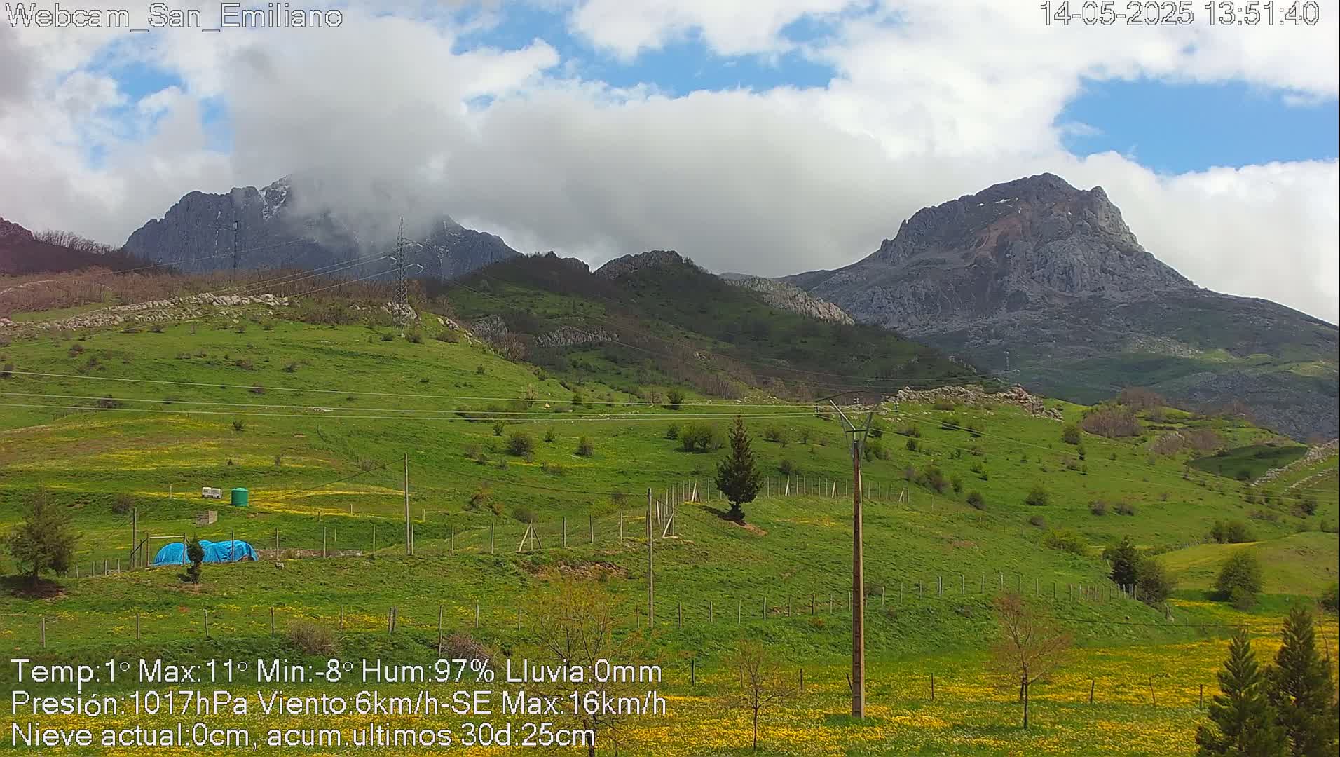 A partly cloudy day reveals green rolling hills dotted with wildflowers and utility poles, with snow-capped mountains in the background.