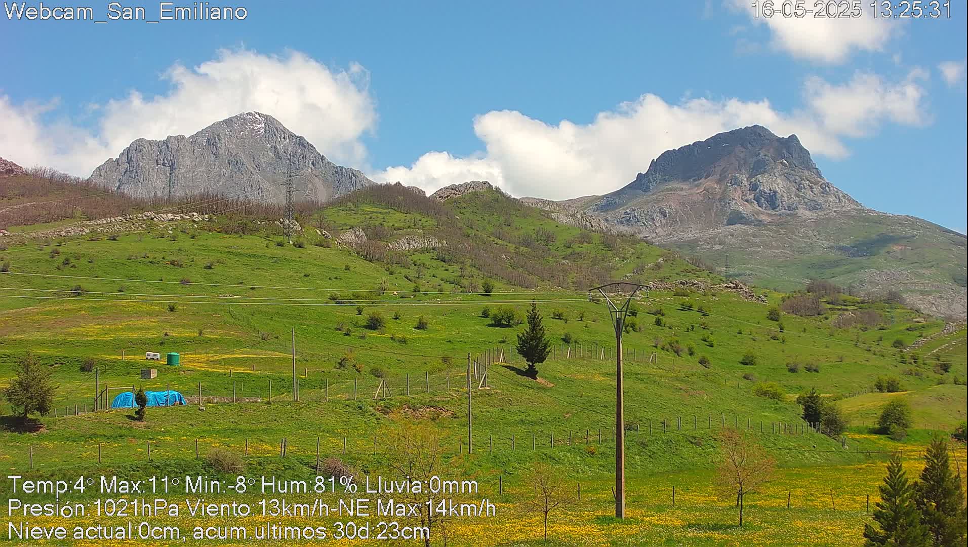 Two rocky mountains with some snow are visible in the distance behind a field of green grass dotted with yellow wildflowers under a partly cloudy blue sky.