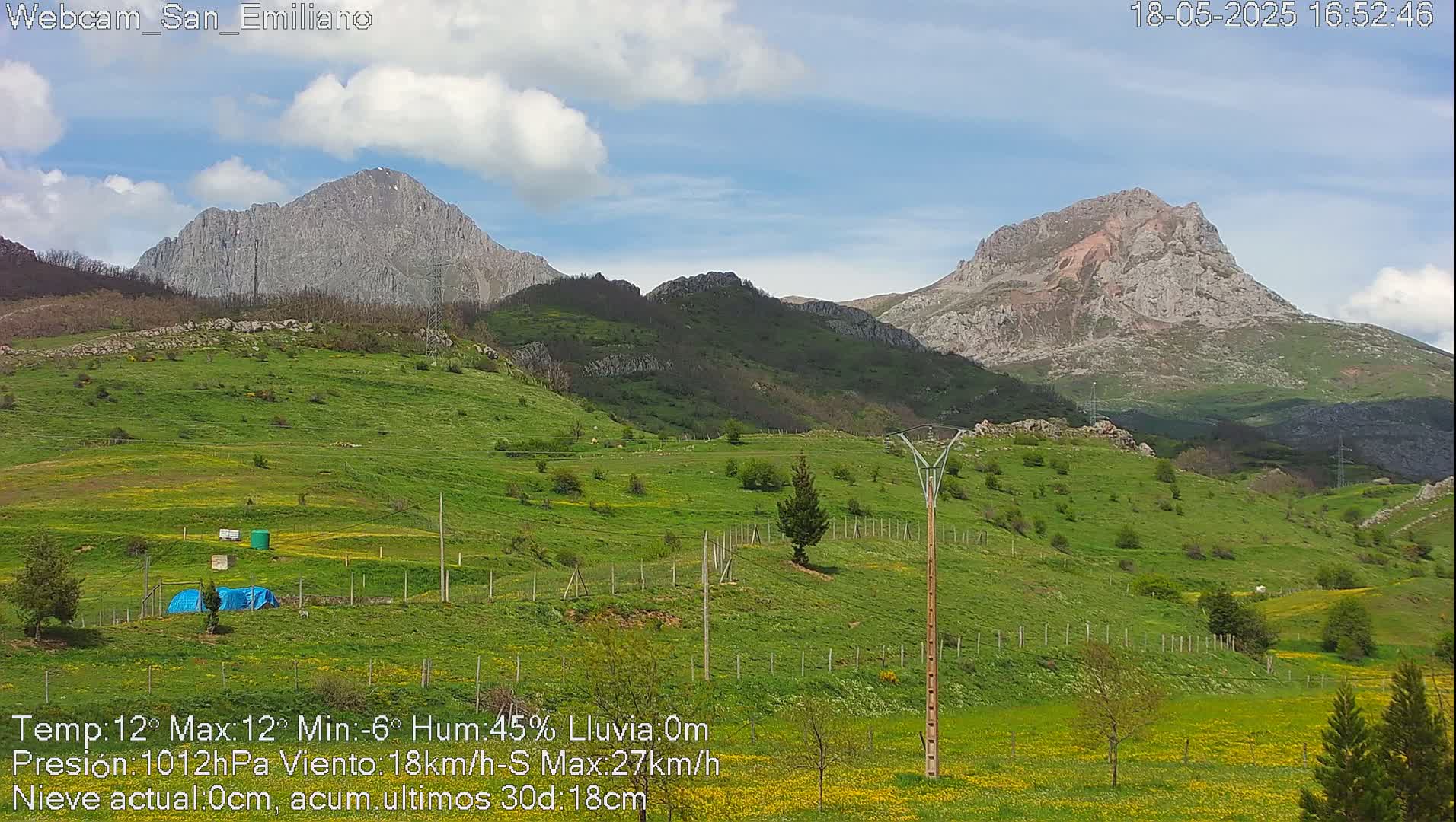 A partly cloudy day reveals a verdant valley dotted with small trees and wildflowers, framed by two imposing, rocky mountains.