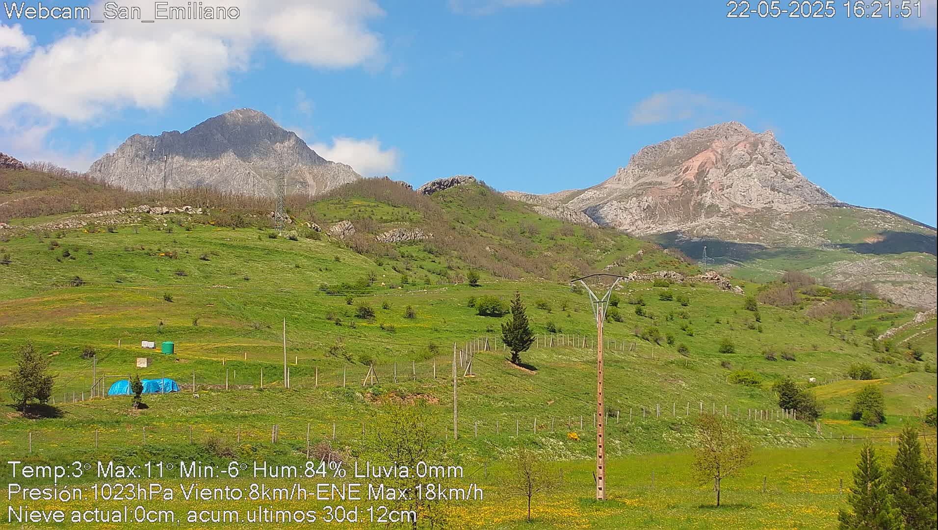 A sunny, green hillside dotted with small trees and shrubs stretches towards two prominent, rocky mountains under a mostly clear blue sky.