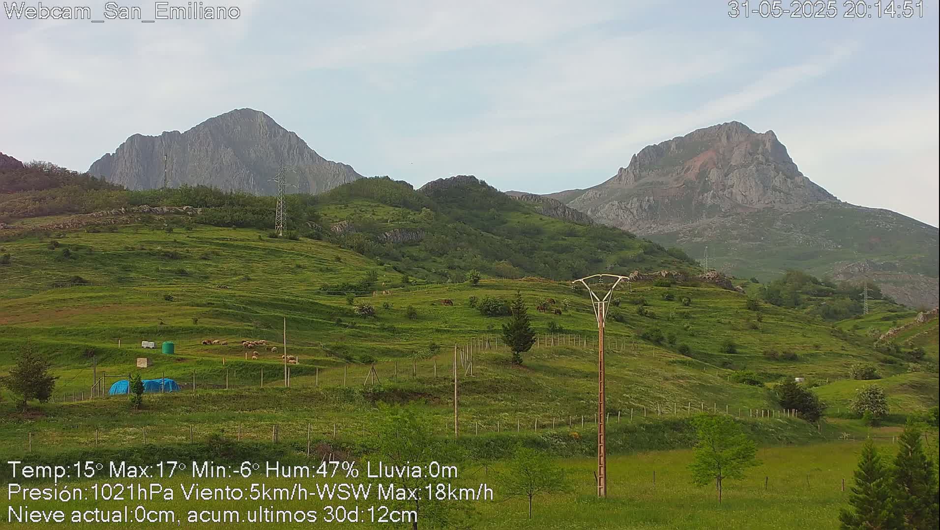 A grassy hillside dotted with trees and a small flock of animals, overlooks two large, rocky mountains under a mostly clear sky.