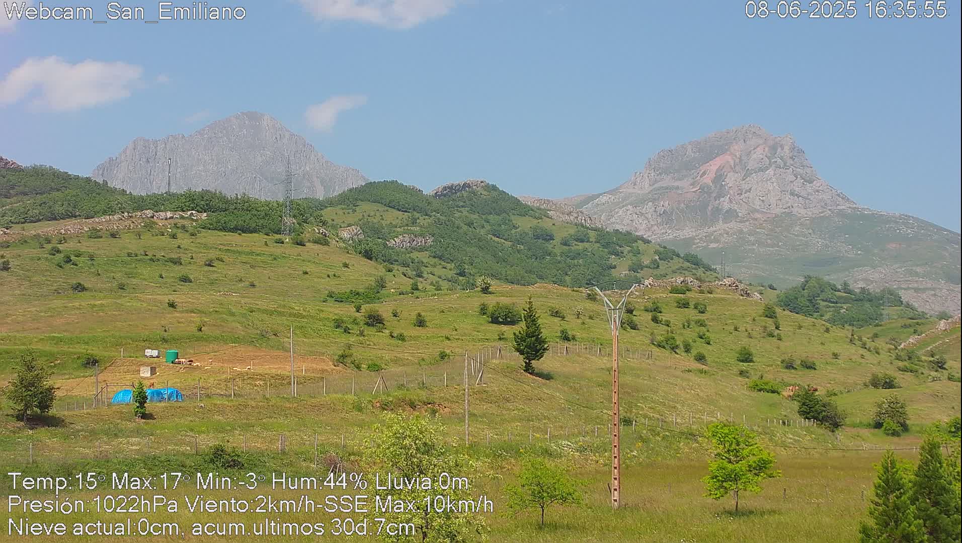 A verdant hillside, dotted with trees and shrubs, stretches towards two imposing mountains under a mostly clear sky.