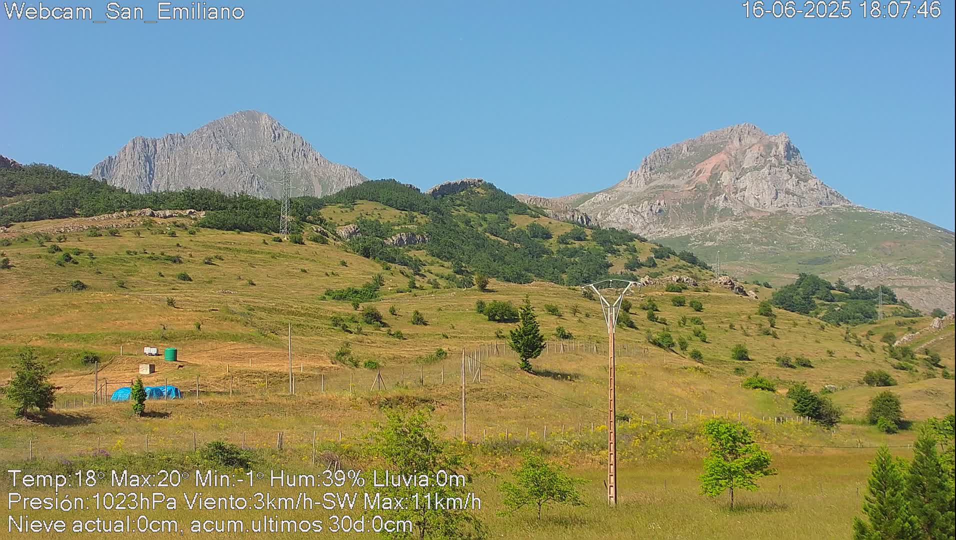 A grassy hillside dotted with small trees and shrubs, under a clear blue sky, with two prominent mountains in the background.