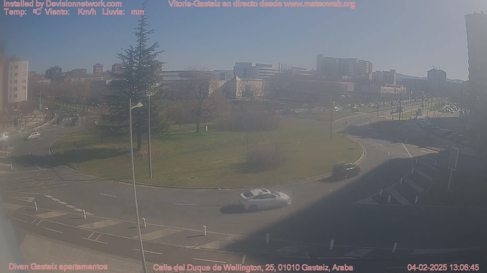 A hazy, sunny day reveals a city roundabout with several cars, buildings in the background, and a large evergreen tree in a grassy area.