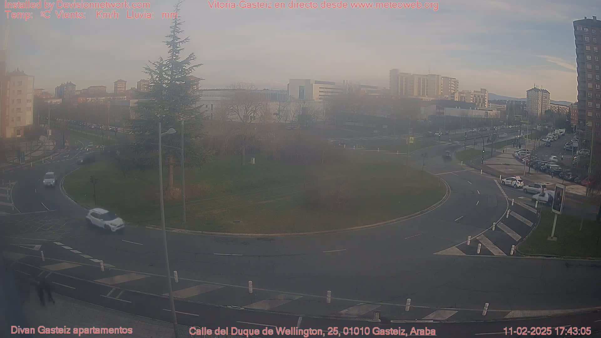 A hazy view of a roundabout in a city with several cars, buildings in the background, and a tall evergreen tree in the foreground.