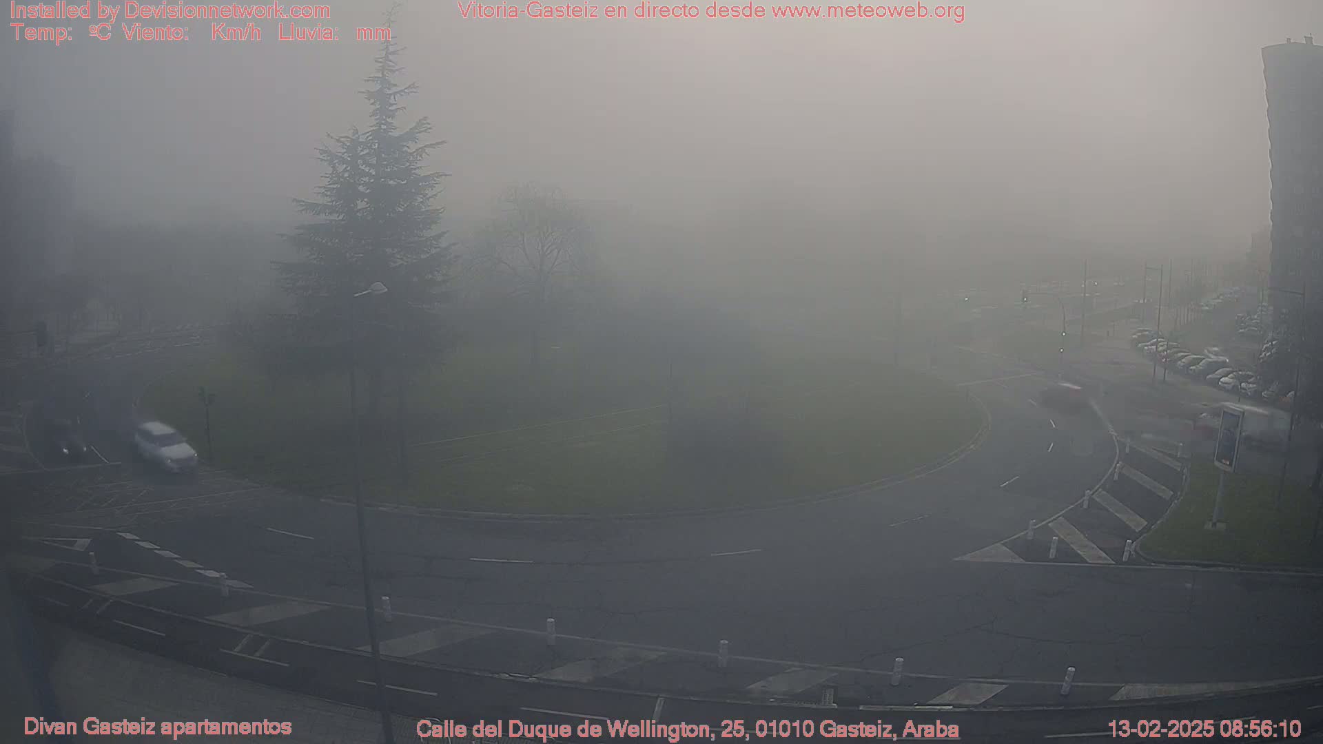A foggy view of a roundabout with several cars and a tall evergreen tree in the background.