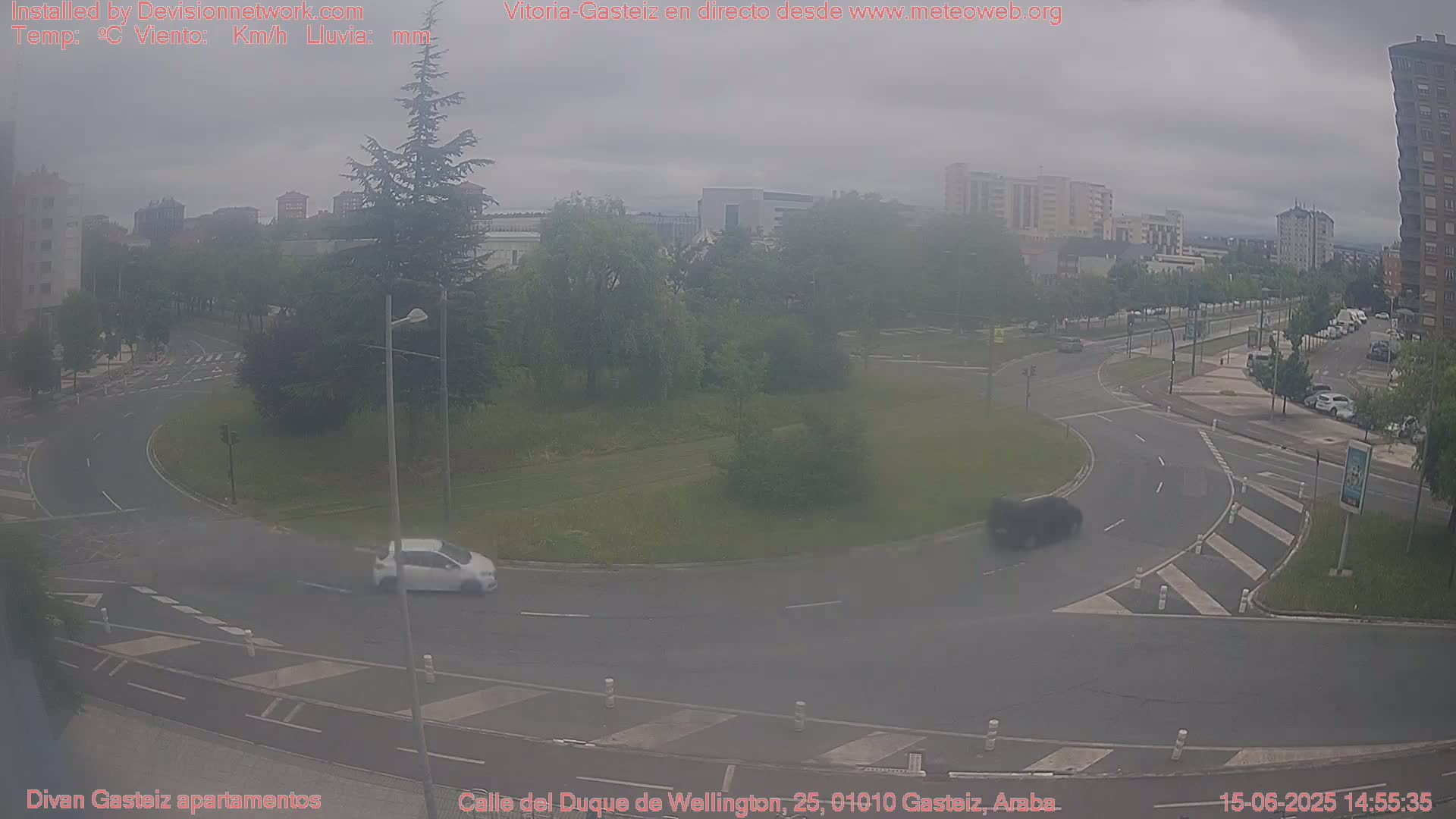 A hazy view of a roundabout with two cars and a tree-lined park in the background, under an overcast sky.