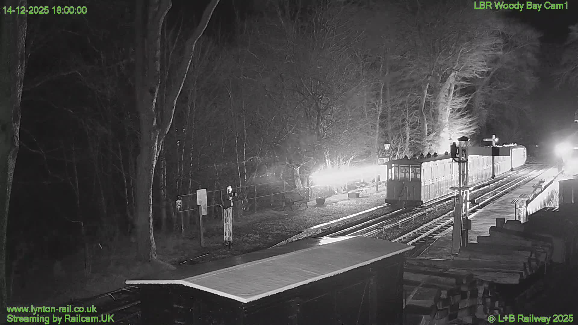 On an overcast day, a red and cream train rests at a scenic railway station with multiple tracks, surrounded by a dense, leafless forest and various railway sidings.