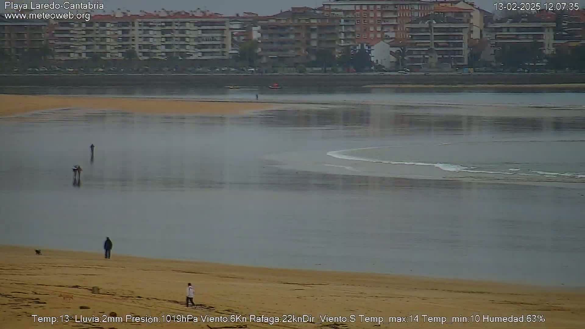 A sandy beach with a few people and dogs stretches out to calm, gray water under an overcast sky.