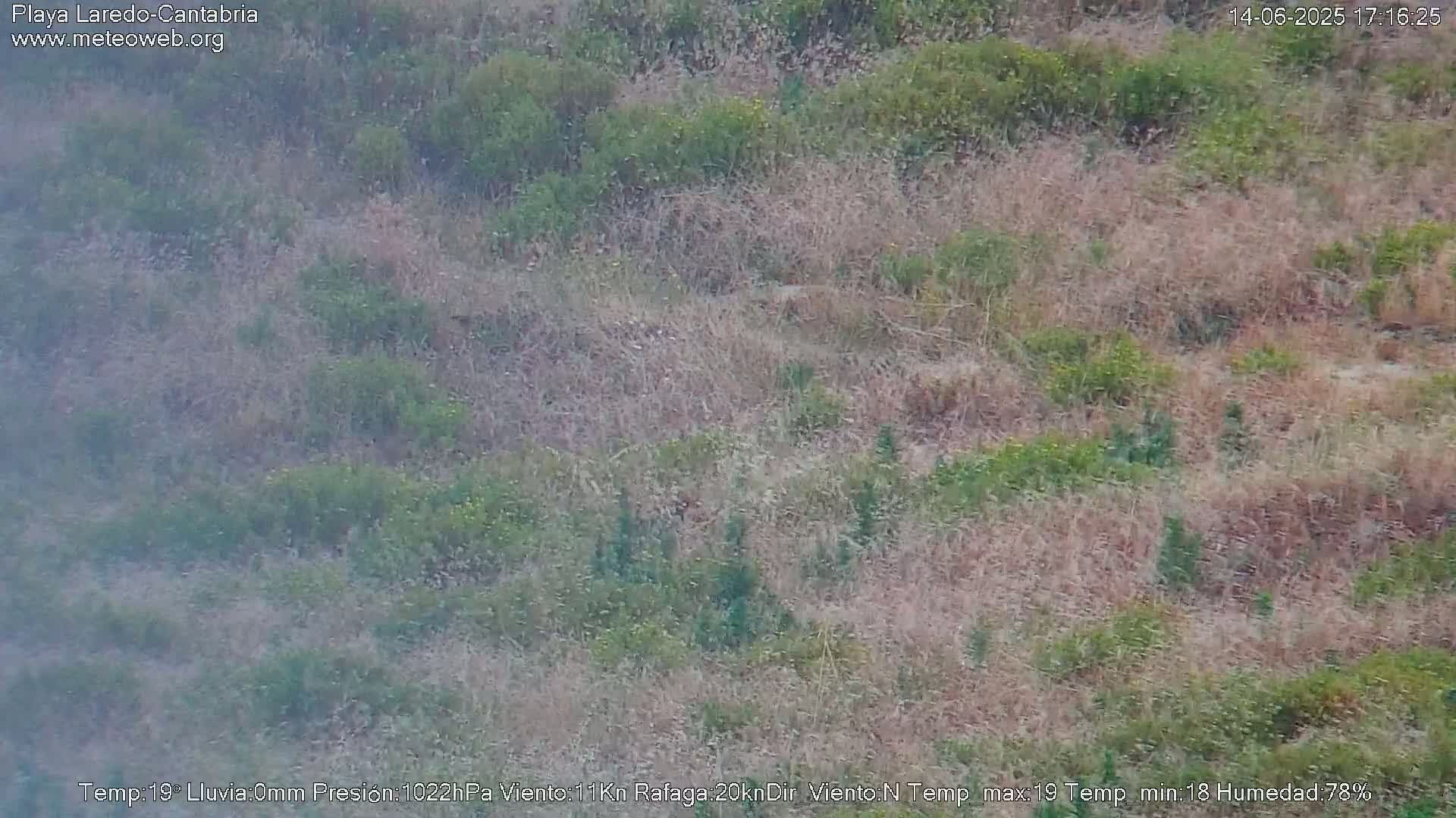 A hazy view of a dry, grassy hillside with patches of green vegetation.