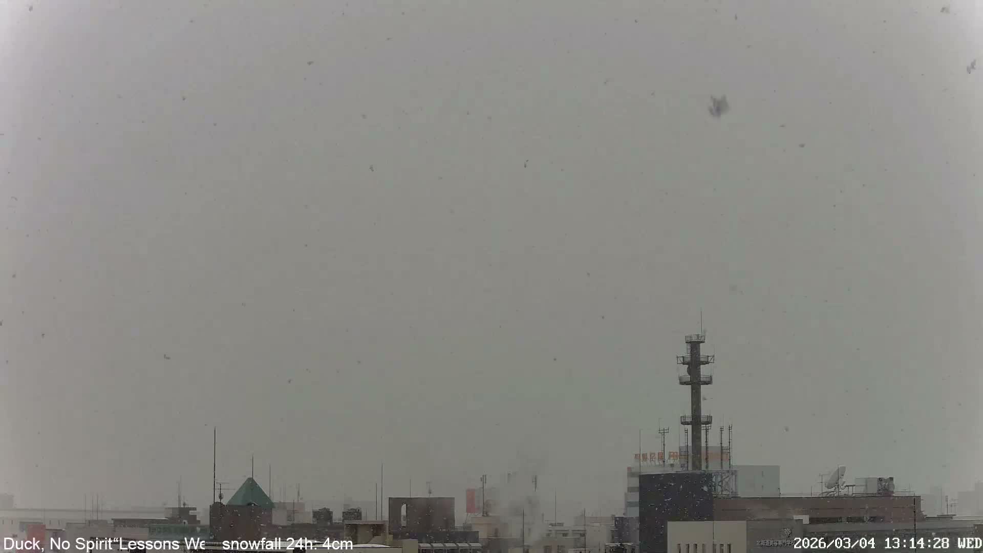 Sapporo City Skyline & Mount Moiwa View from Chuo Ward  ( 中央区から見る札幌市街と藻岩山 ) Live Cam - Chuo Ward, Sapporo, Ishikari, Hokkaido, Japan