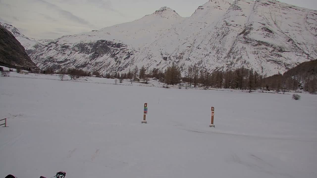 A vast, snow-covered valley featuring two upright markers in the foreground is surrounded by majestic snow-capped mountains and scattered trees under an overcast winter sky.