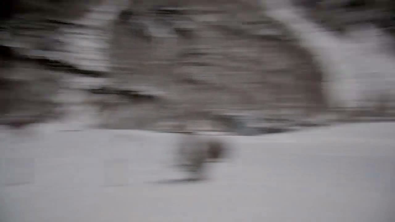 Bessans Village, Carreley  Ski Slopes & Mont L'Albaron Mountain View Live Cam - Bessans, Saint-Jean-de-Maurienne, Savoie, Auvergne-Rhône-Alpes, France