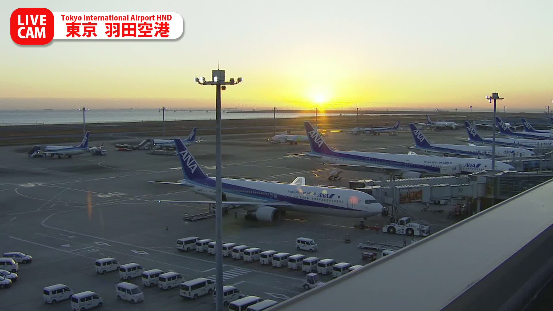 Tokyo Haneda International Airport PTZ ( 東京羽田空港 ) Live Cam HND/RJTT - Hanedakuko, Ōta-ku,Tokyo, Kantō, Honshu, Japan