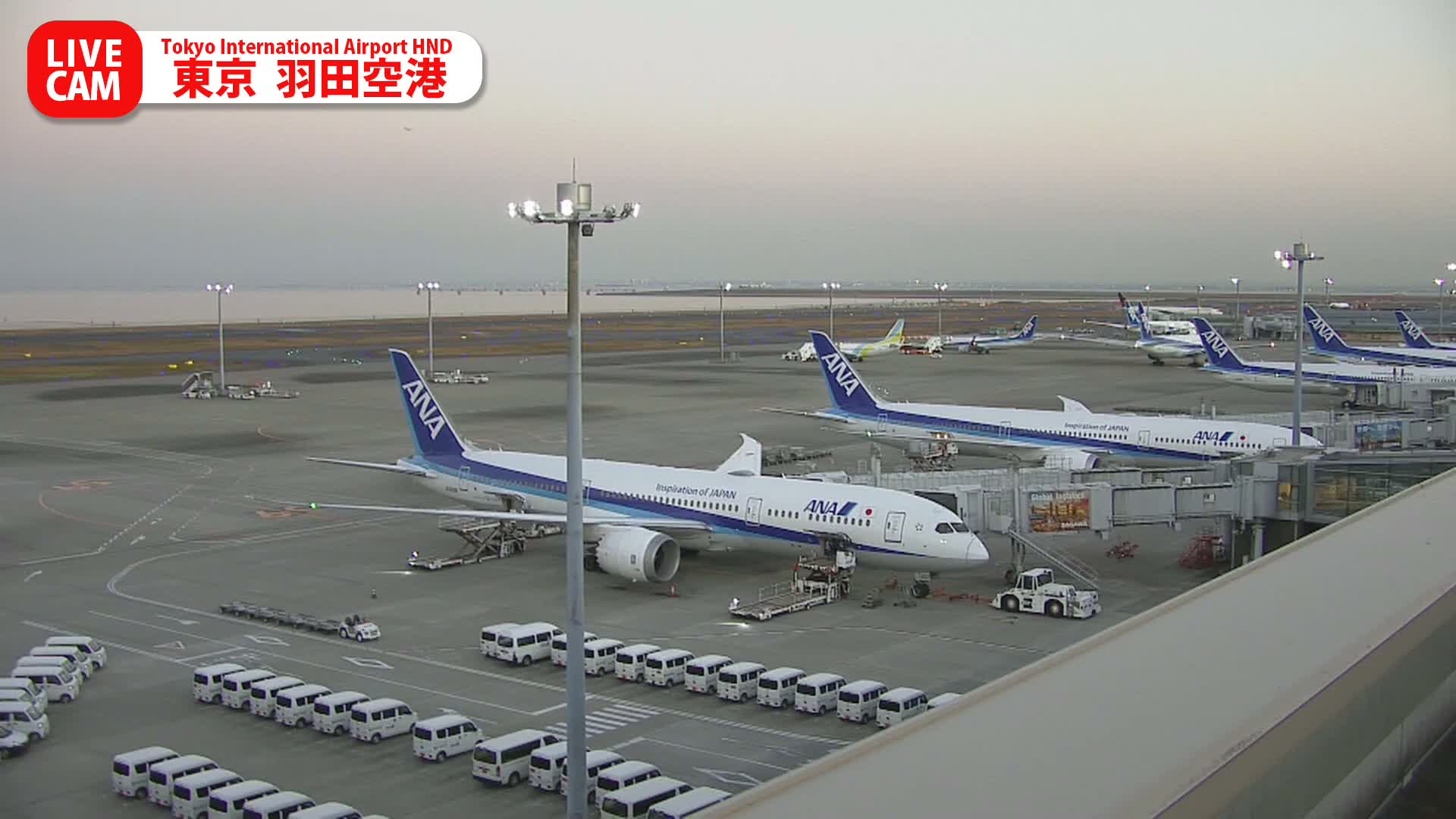 Tokyo Haneda International Airport PTZ ( 東京羽田空港 ) Live Cam HND/RJTT - Hanedakuko, Ōta-ku,Tokyo, Kantō, Honshu, Japan