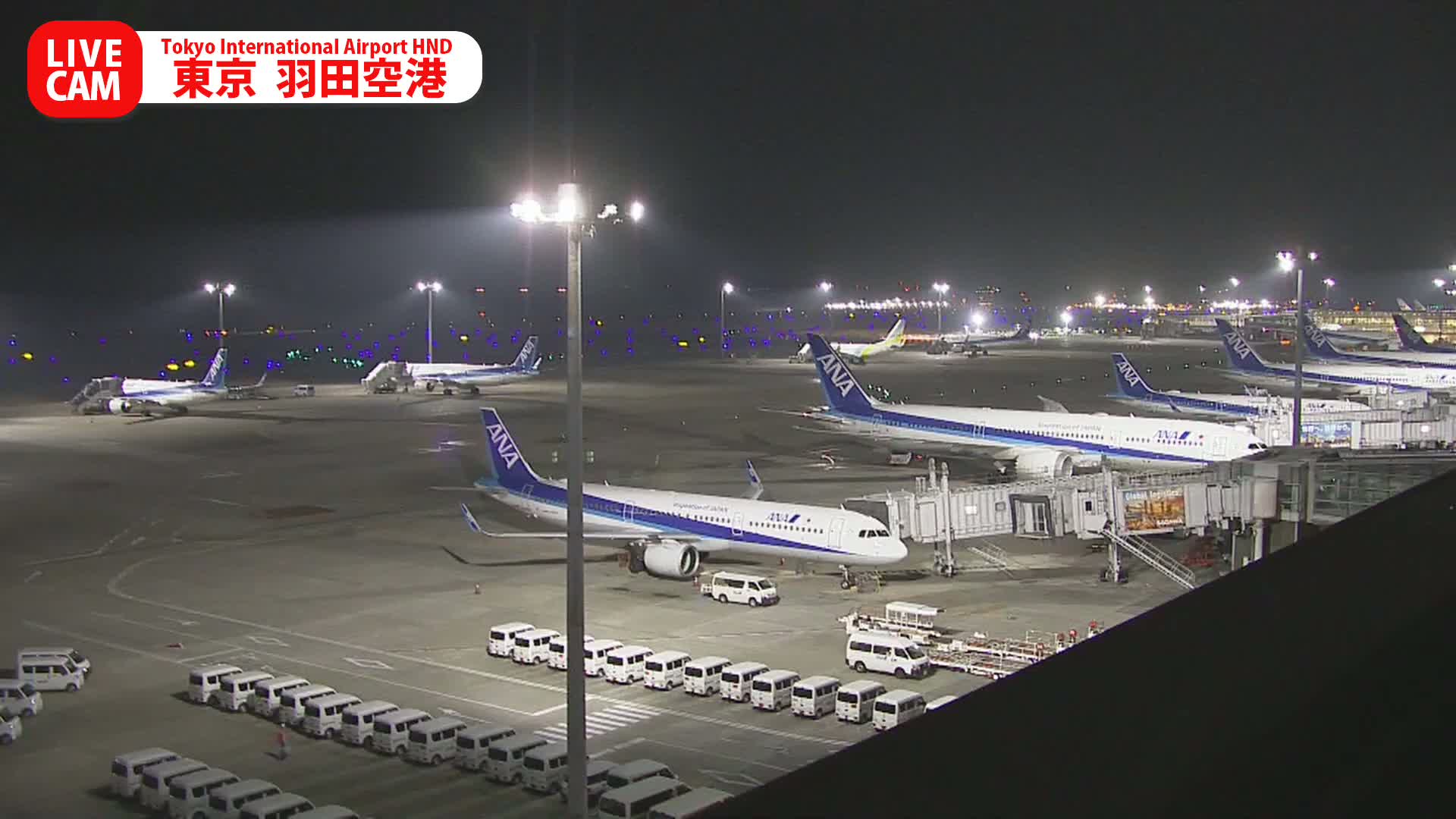 A brightly lit airport tarmac is bustling with several ANA airplanes parked at gates and on the apron, surrounded by ground vehicles under a clear night sky.