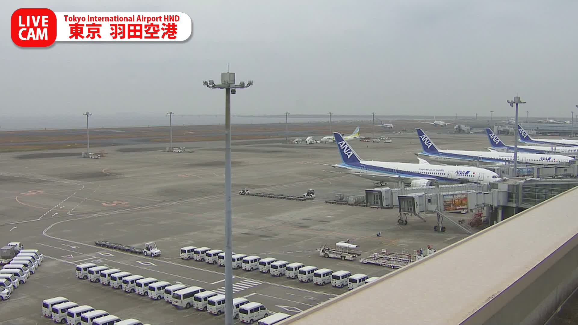 Tokyo Haneda International Airport PTZ ( 東京羽田空港 ) Live Cam HND/RJTT - Hanedakuko, Ōta-ku,Tokyo, Kantō, Honshu, Japan