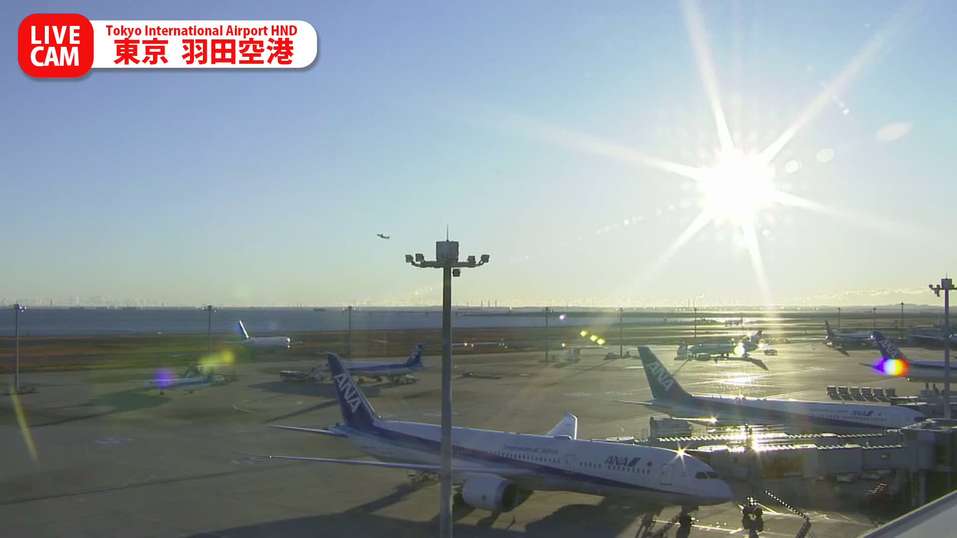 Tokyo Haneda International Airport PTZ ( 東京羽田空港 ) Live Cam HND/RJTT - Hanedakuko, Ōta-ku,Tokyo, Kantō, Honshu, Japan