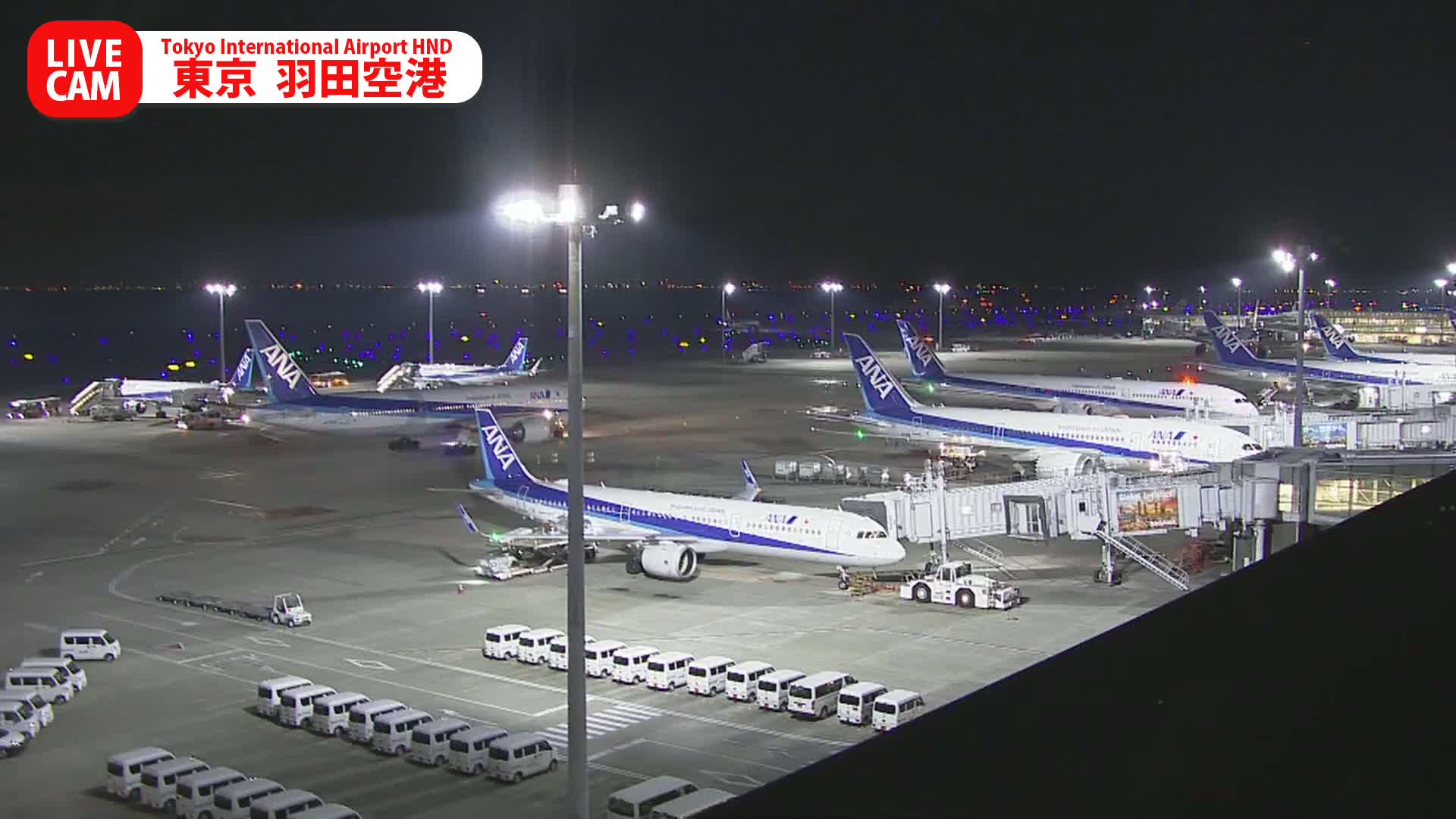 Multiple ANA airplanes are parked on a brightly lit airport tarmac at night, surrounded by ground support vehicles and jet bridges under a clear sky.