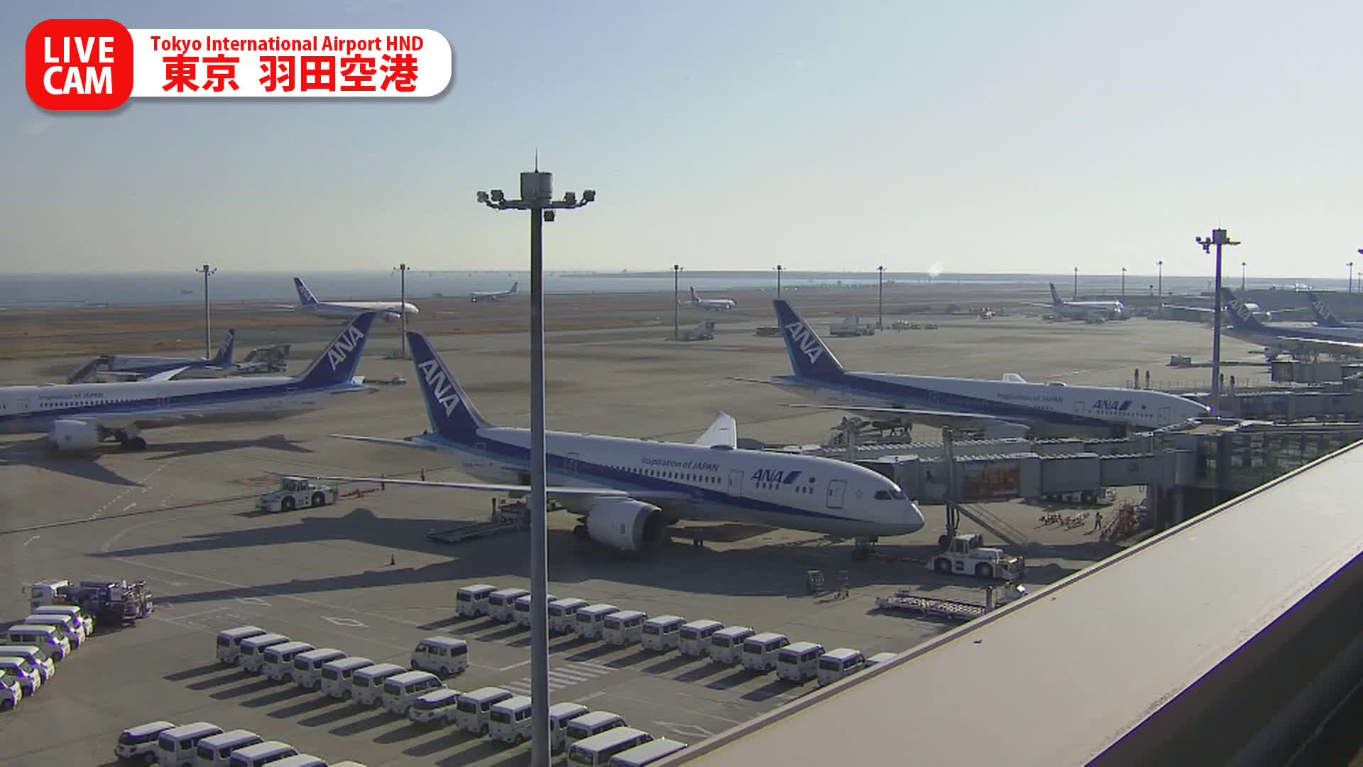 Tokyo Haneda International Airport PTZ ( 東京羽田空港 ) Live Cam HND/RJTT - Hanedakuko, Ōta-ku,Tokyo, Kantō, Honshu, Japan