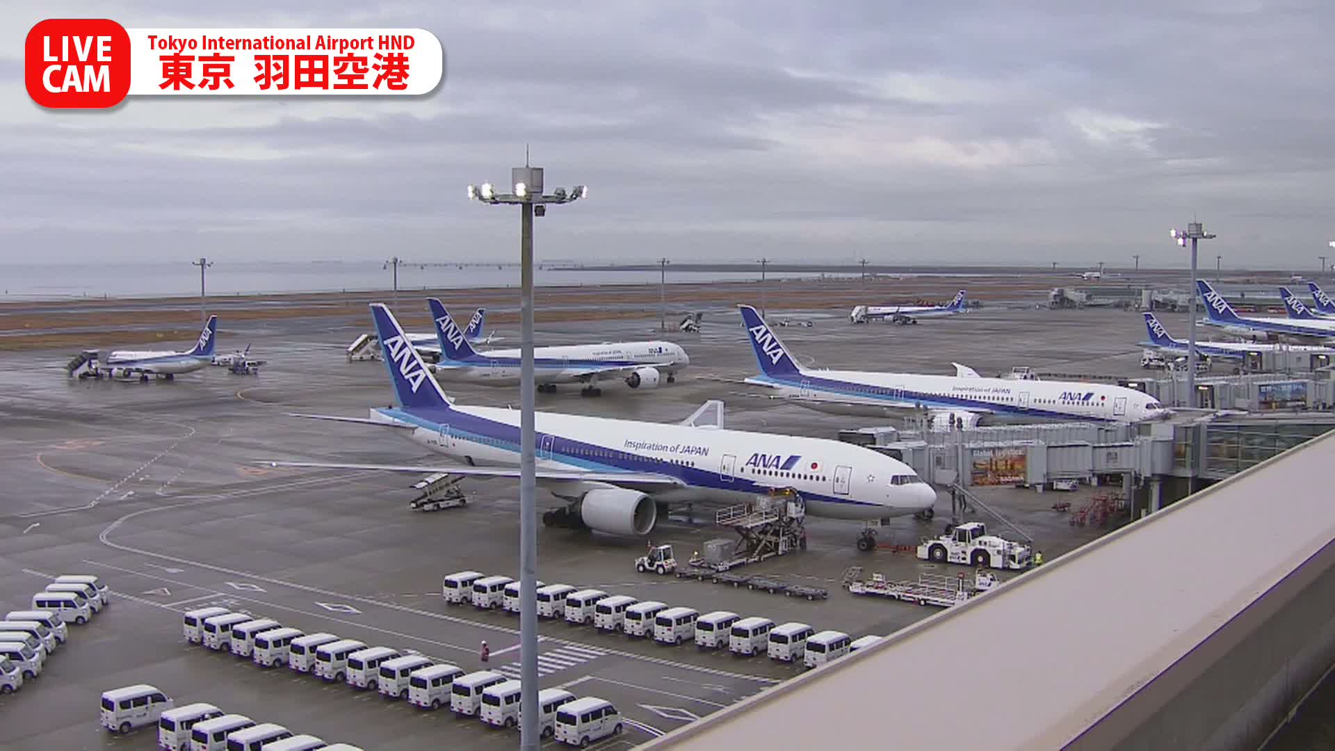 Tokyo Haneda International Airport PTZ ( 東京羽田空港 ) Live Cam HND/RJTT - Hanedakuko, Ōta-ku,Tokyo, Kantō, Honshu, Japan