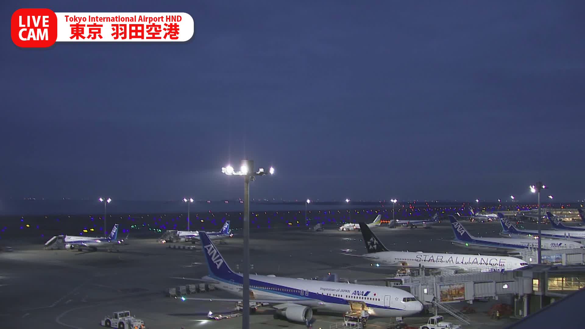 Tokyo Haneda International Airport PTZ ( 東京羽田空港 ) Live Cam HND/RJTT - Hanedakuko, Ōta-ku,Tokyo, Kantō, Honshu, Japan