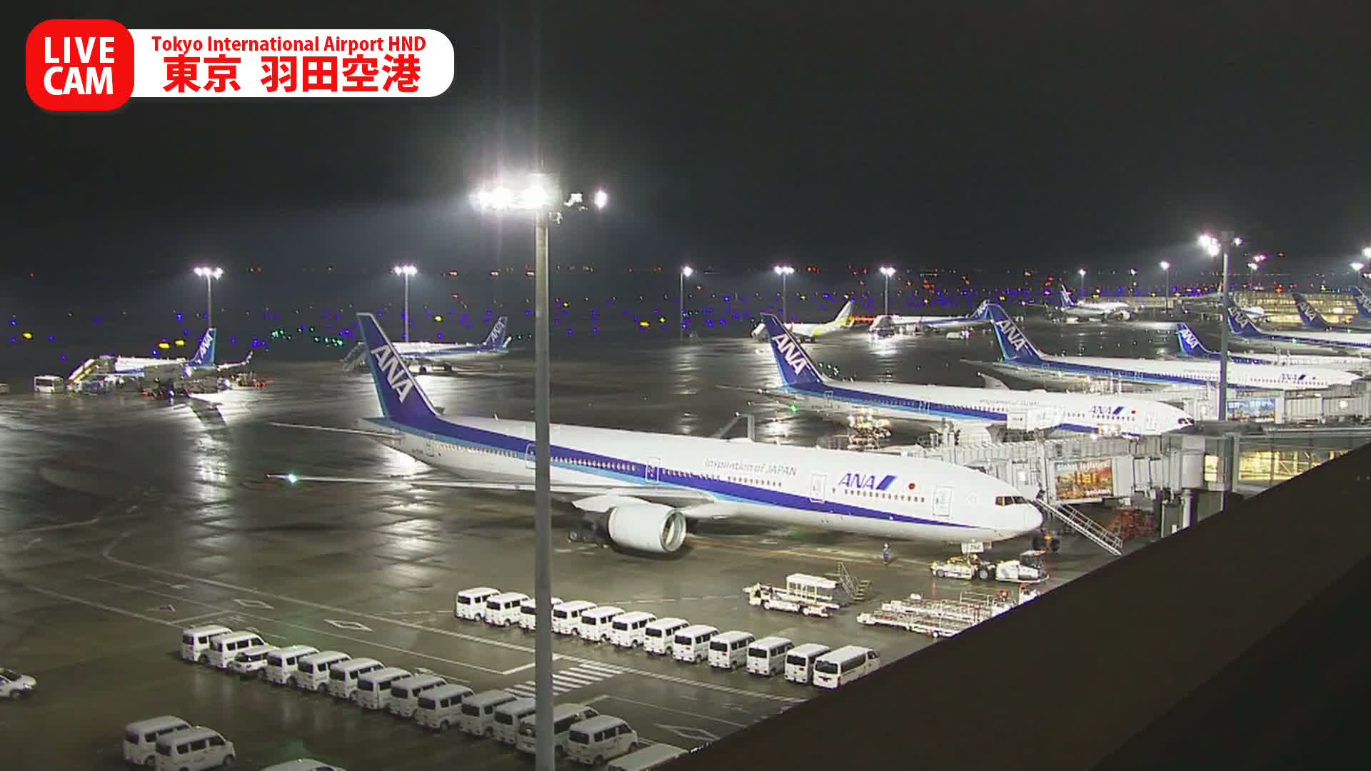 Multiple ANA airplanes are parked on a brightly lit airport tarmac at night, surrounded by ground support vehicles and jet bridges under a clear sky.