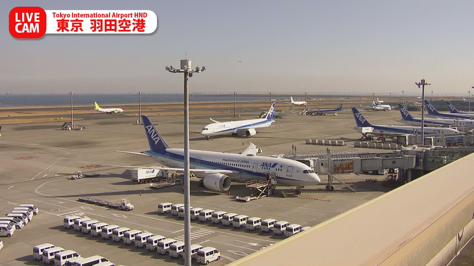 Tokyo Haneda International Airport PTZ ( 東京羽田空港 ) Live Cam HND/RJTT - Hanedakuko, Ōta-ku,Tokyo, Kantō, Honshu, Japan