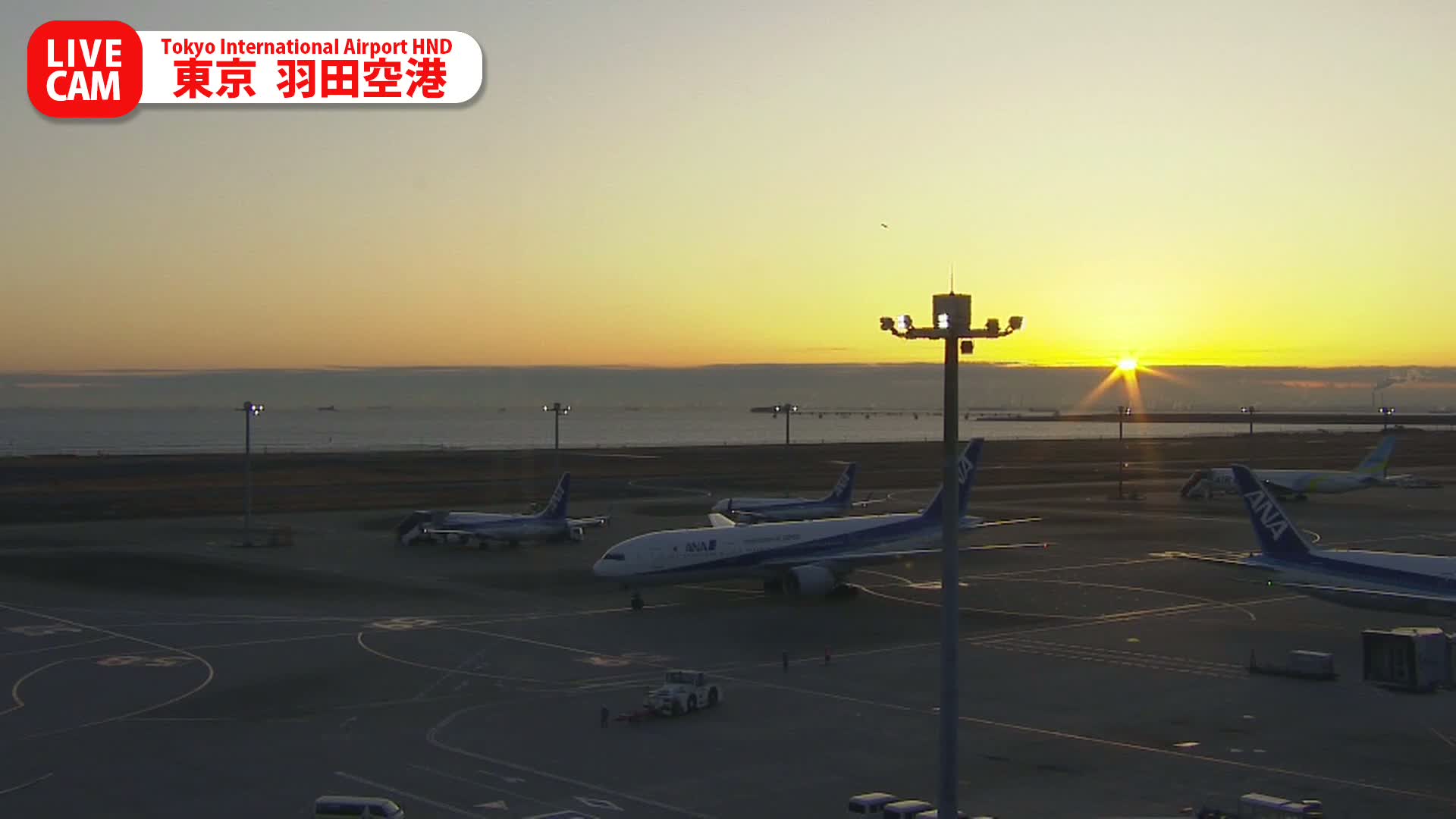 Tokyo Haneda International Airport PTZ ( 東京羽田空港 ) Live Cam HND/RJTT - Hanedakuko, Ōta-ku,Tokyo, Kantō, Honshu, Japan
