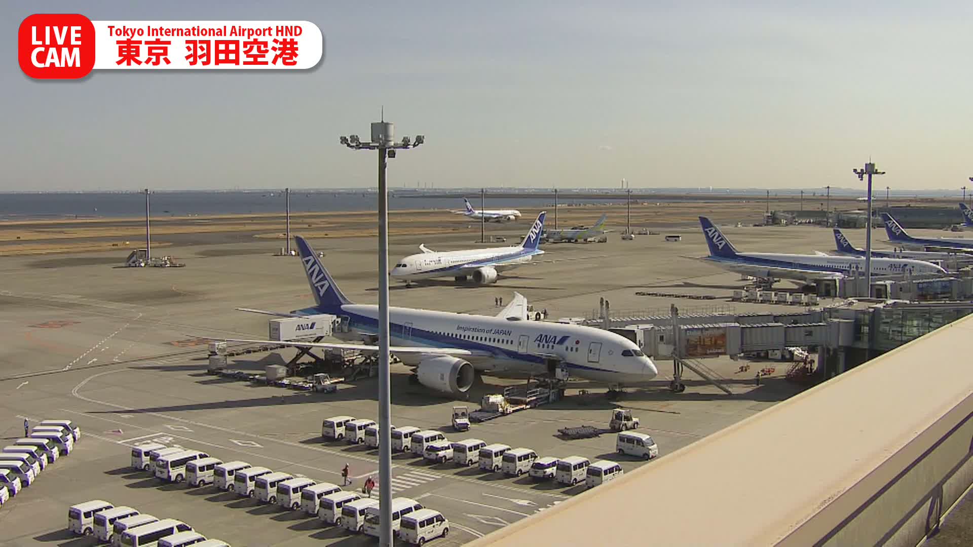 Tokyo Haneda International Airport PTZ ( 東京羽田空港 ) Live Cam HND/RJTT - Hanedakuko, Ōta-ku,Tokyo, Kantō, Honshu, Japan