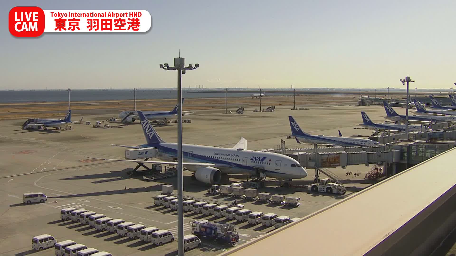 Tokyo Haneda International Airport PTZ ( 東京羽田空港 ) Live Cam HND/RJTT - Hanedakuko, Ōta-ku,Tokyo, Kantō, Honshu, Japan