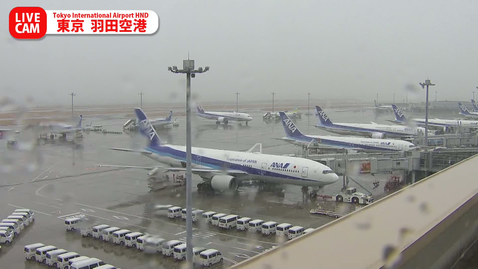 Tokyo Haneda International Airport PTZ ( 東京羽田空港 ) Live Cam HND/RJTT - Hanedakuko, Ōta-ku,Tokyo, Kantō, Honshu, Japan