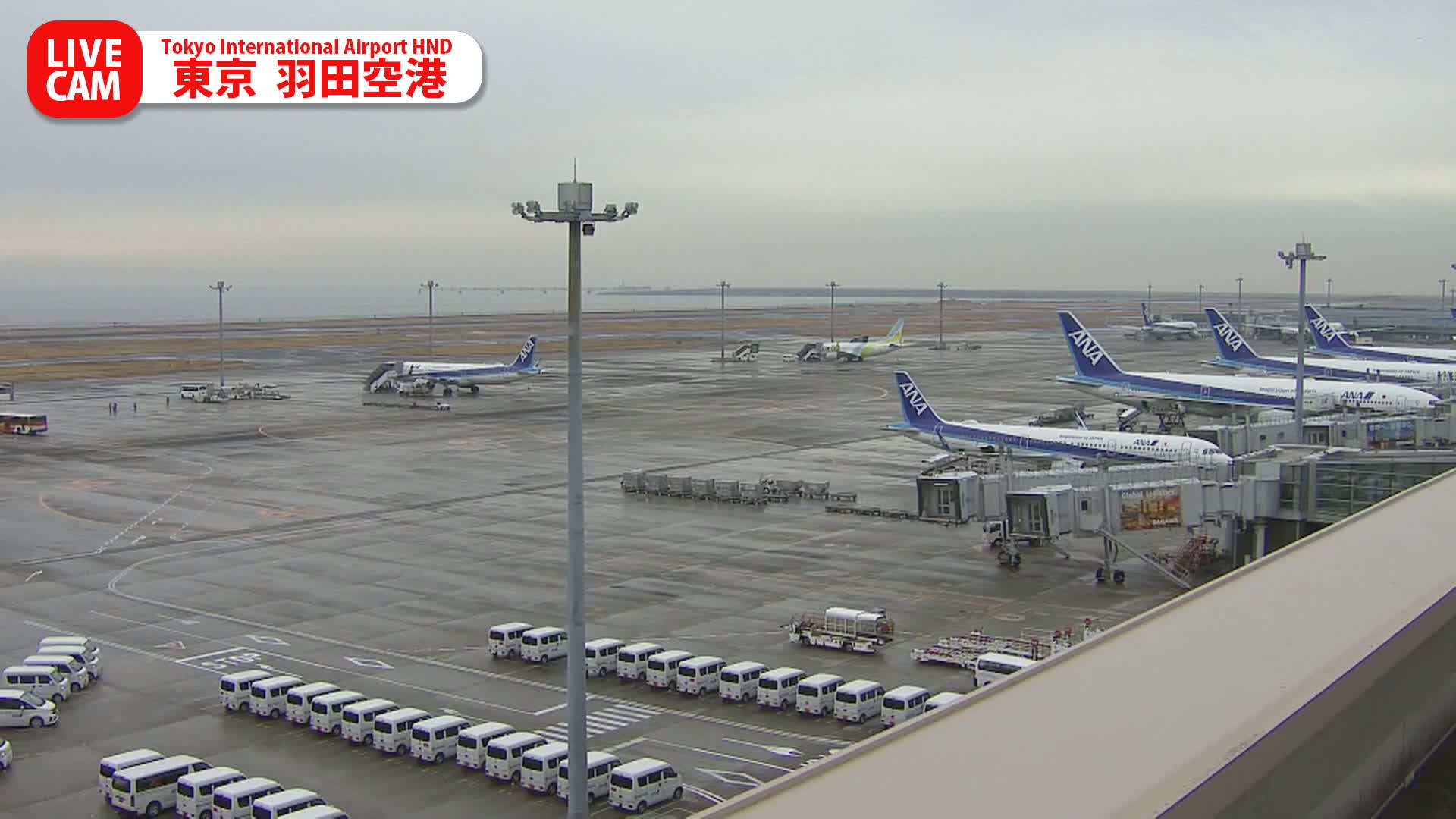 Tokyo Haneda International Airport PTZ ( 東京羽田空港 ) Live Cam HND/RJTT - Hanedakuko, Ōta-ku,Tokyo, Kantō, Honshu, Japan