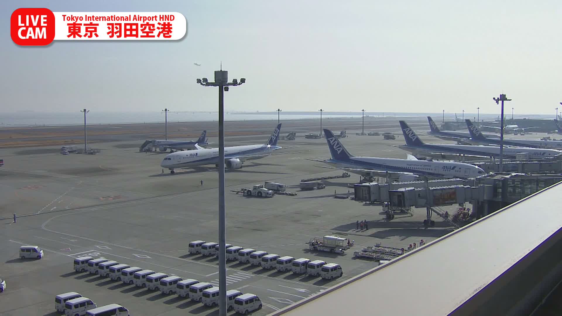 Tokyo Haneda International Airport PTZ ( 東京羽田空港 ) Live Cam HND/RJTT - Hanedakuko, Ōta-ku,Tokyo, Kantō, Honshu, Japan