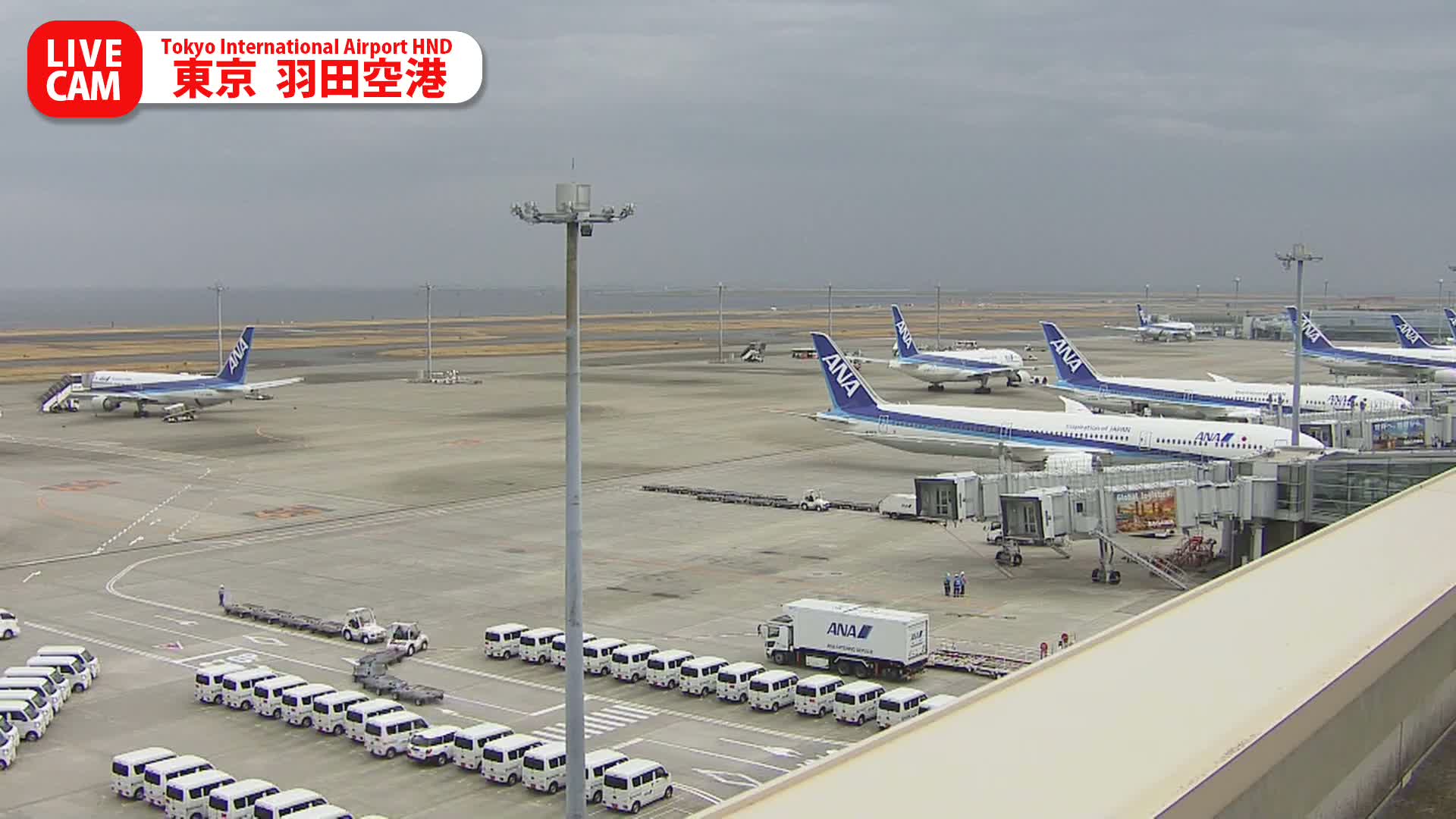 Tokyo Haneda International Airport PTZ ( 東京羽田空港 ) Live Cam HND/RJTT - Hanedakuko, Ōta-ku,Tokyo, Kantō, Honshu, Japan