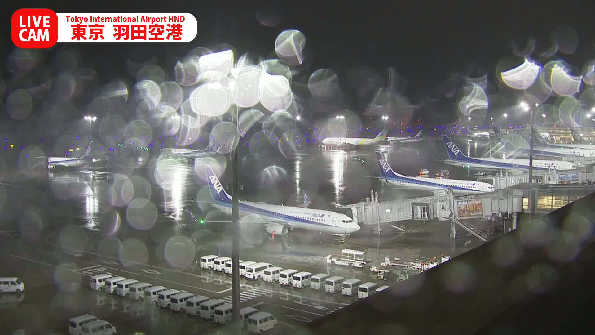 Tokyo Haneda International Airport PTZ ( 東京羽田空港 ) Live Cam HND/RJTT - Hanedakuko, Ōta-ku,Tokyo, Kantō, Honshu, Japan