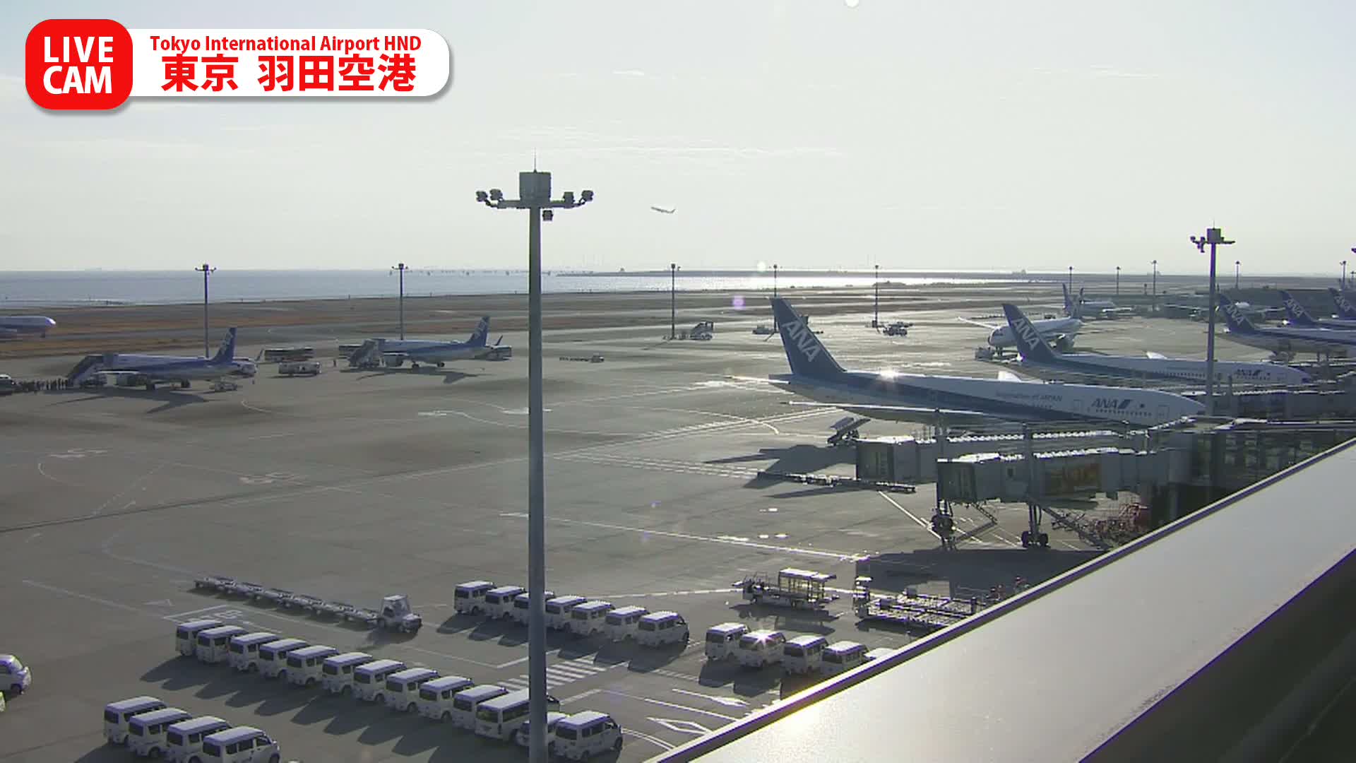 Tokyo Haneda International Airport PTZ ( 東京羽田空港 ) Live Cam HND/RJTT - Hanedakuko, Ōta-ku,Tokyo, Kantō, Honshu, Japan