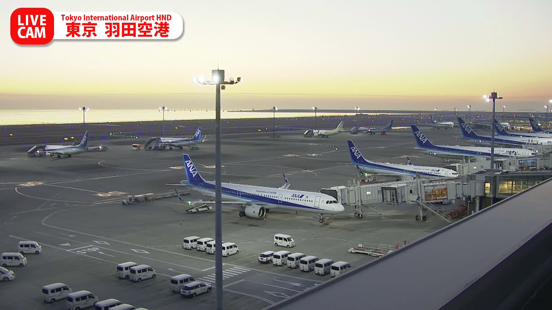 Tokyo Haneda International Airport PTZ ( 東京羽田空港 ) Live Cam HND/RJTT - Hanedakuko, Ōta-ku,Tokyo, Kantō, Honshu, Japan