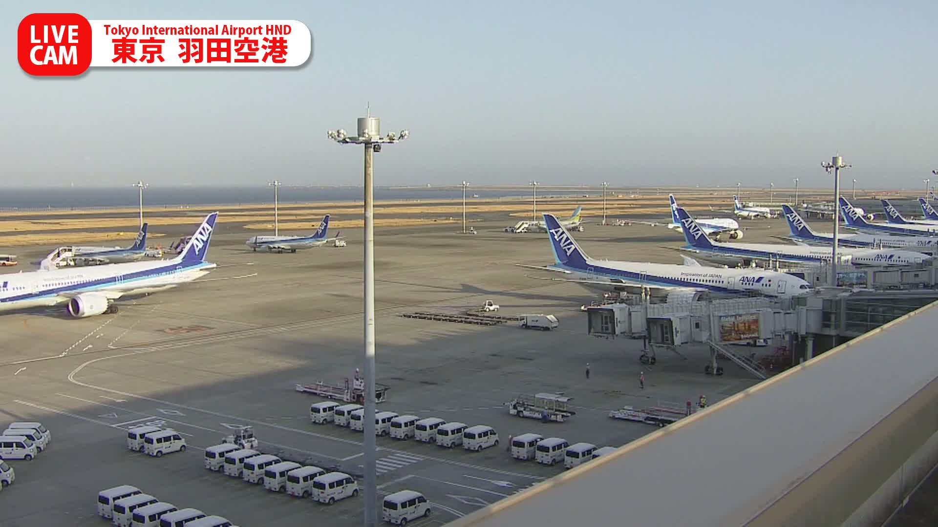 Tokyo Haneda International Airport PTZ ( 東京羽田空港 ) Live Cam HND/RJTT - Hanedakuko, Ōta-ku,Tokyo, Kantō, Honshu, Japan