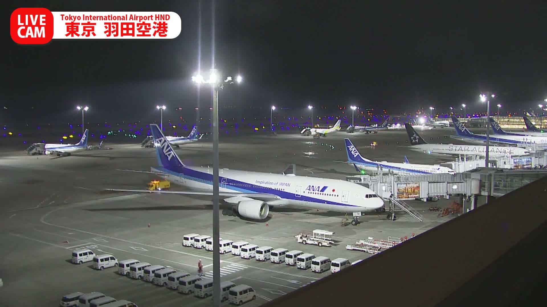 Tokyo Haneda International Airport PTZ ( 東京羽田空港 ) Live Cam HND/RJTT - Hanedakuko, Ōta-ku,Tokyo, Kantō, Honshu, Japan