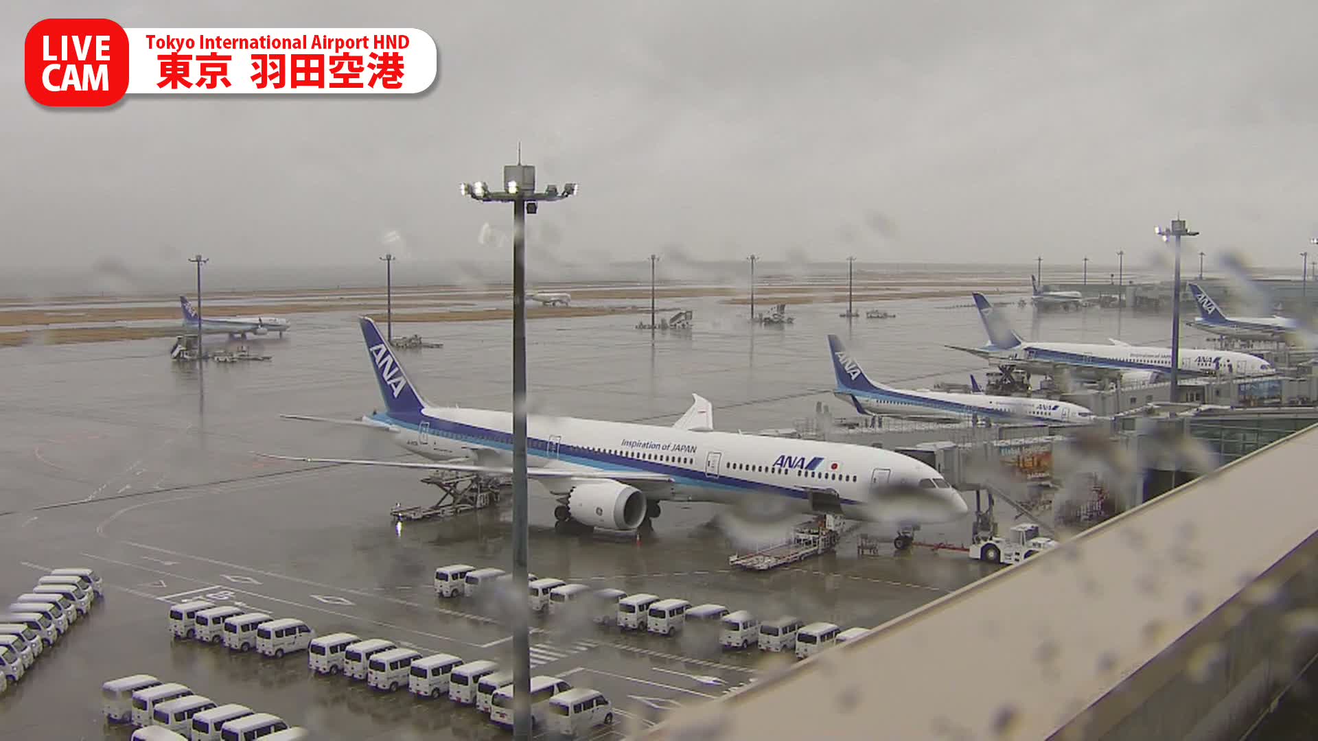 Tokyo Haneda International Airport PTZ ( 東京羽田空港 ) Live Cam HND/RJTT - Hanedakuko, Ōta-ku,Tokyo, Kantō, Honshu, Japan