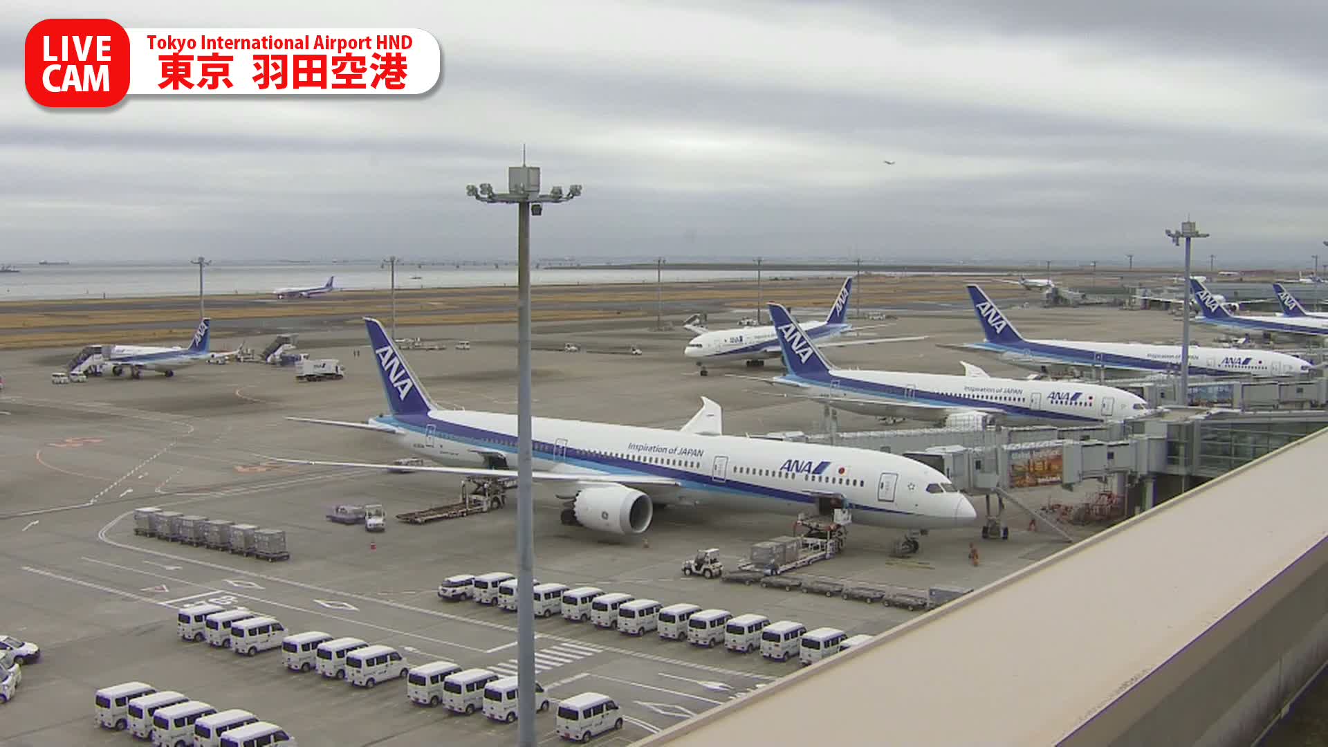 Tokyo Haneda International Airport PTZ ( 東京羽田空港 ) Live Cam HND/RJTT - Hanedakuko, Ōta-ku,Tokyo, Kantō, Honshu, Japan