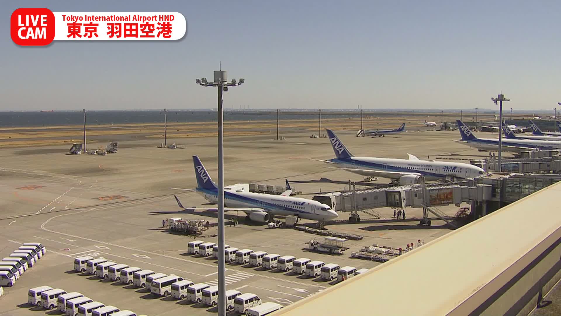 Tokyo Haneda International Airport PTZ ( 東京羽田空港 ) Live Cam HND/RJTT - Hanedakuko, Ōta-ku,Tokyo, Kantō, Honshu, Japan