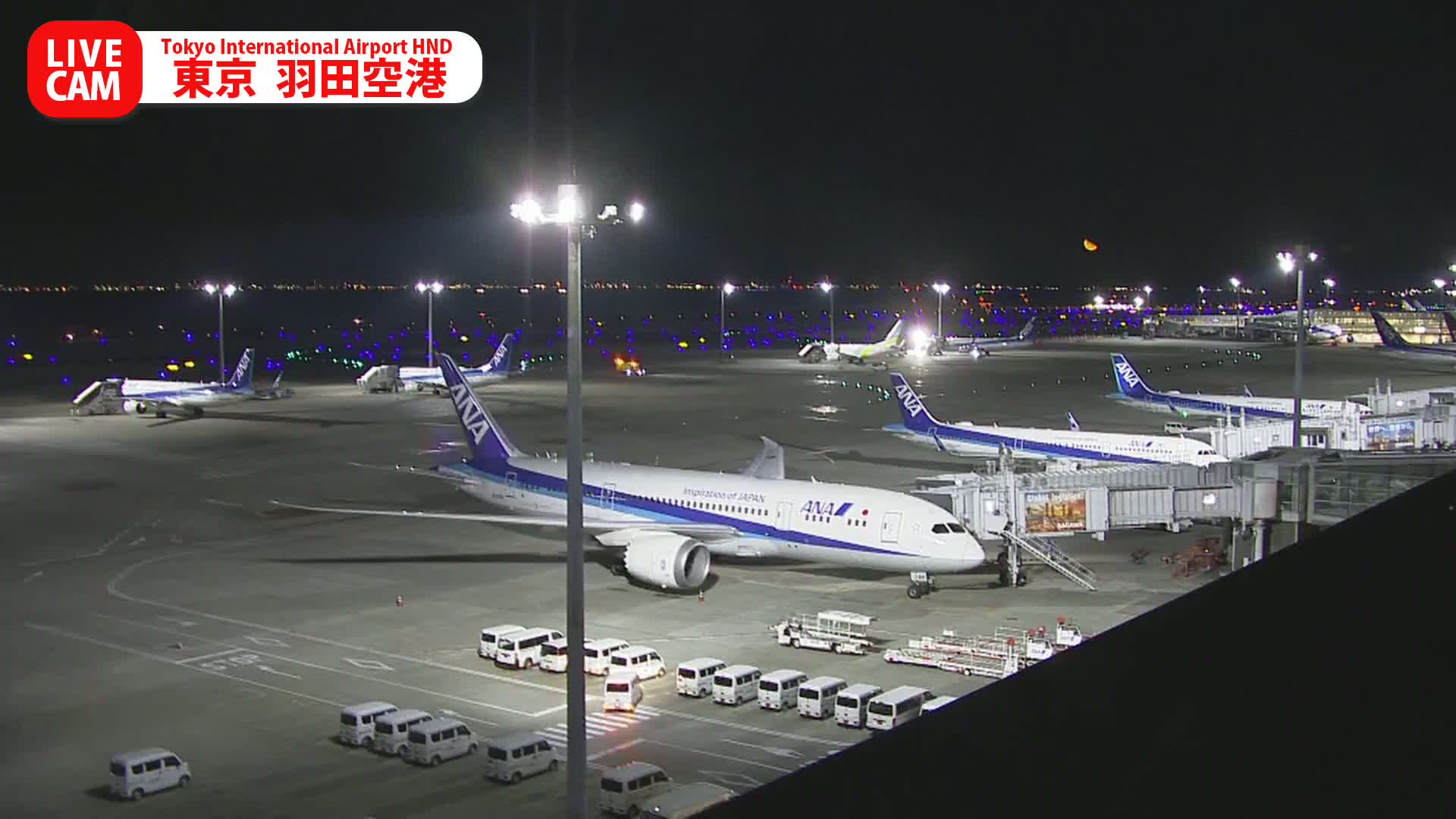 Tokyo Haneda International Airport PTZ ( 東京羽田空港 ) Live Cam HND/RJTT - Hanedakuko, Ōta-ku,Tokyo, Kantō, Honshu, Japan