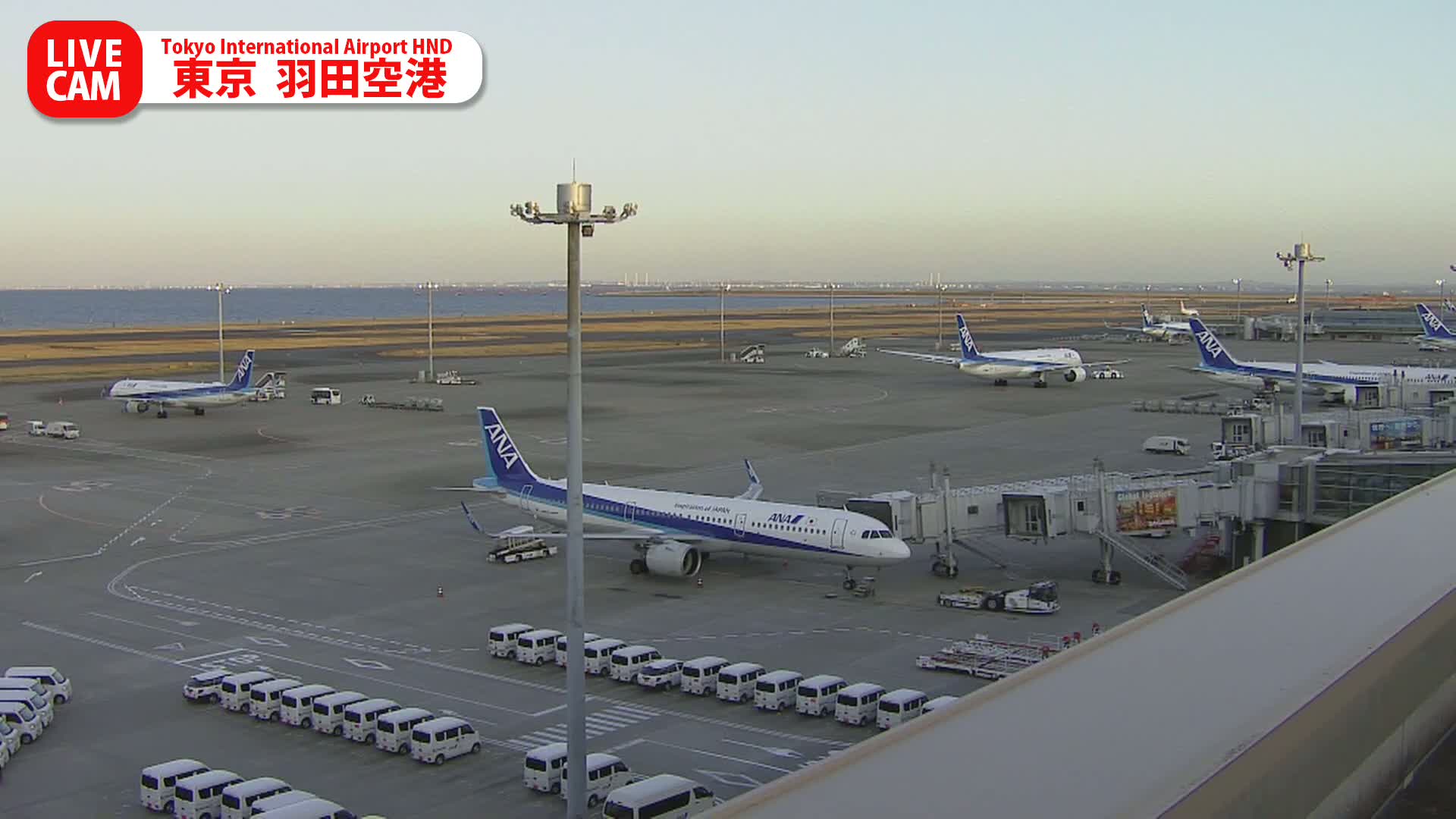 Tokyo Haneda International Airport PTZ ( 東京羽田空港 ) Live Cam HND/RJTT - Hanedakuko, Ōta-ku,Tokyo, Kantō, Honshu, Japan
